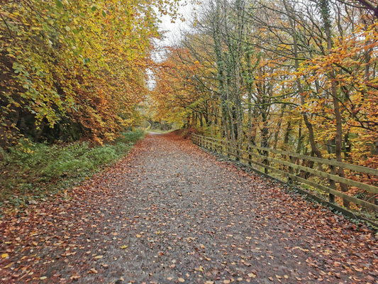Monsal Trail